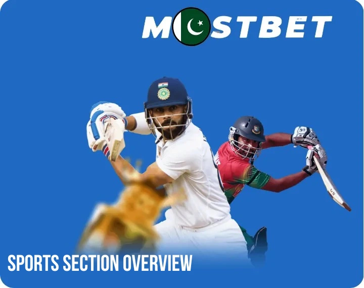 Sports Section Overview