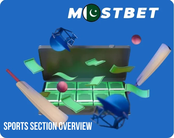 Sports Section Overview